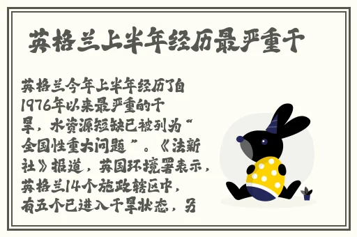 中字丰年经继拇2023